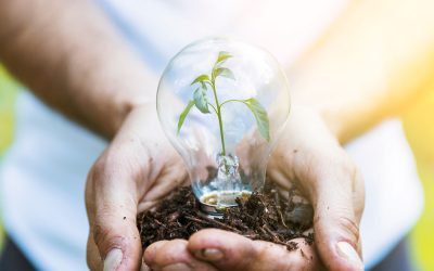 ¿Qué pueden hacer las ventanas para cuidar el planeta?
